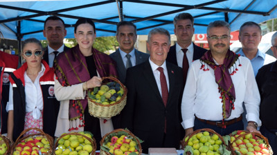Buharkent incir festivali başladı
