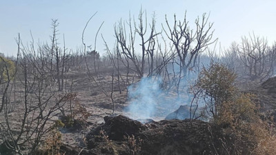 Tekirdağ’ın Malkara ilçesinde yangın çıktı! Ekiplerin müdahalesiyle kontrol altına alındı