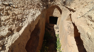 Şanlıurfa'da bulundu! Kayıt altına alındı