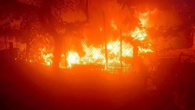 Sinop'taki orman yangını kontrol altına alındı