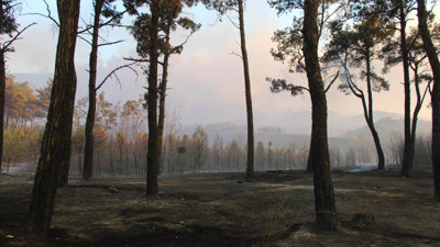 Çanakkale'de devam eden yangında 3 köy boşaltıldı