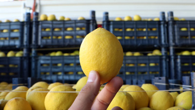 Limonun fiyatı ekşidi! Salatanın vazgeçilmezi artık lüks oldu