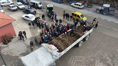 Cevizde Türkiye lideri artık Denizli!