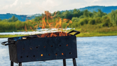 Erzurum'da ormanda mangal yakanlara ceza yağdı!