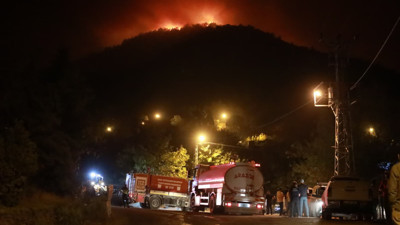 Hatay'da ormanlık alanda yangın çıktı