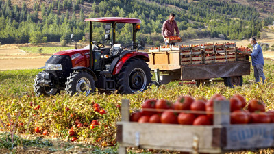 Ödenmemiş kredi borcu tarımda yüzde 166 arttı