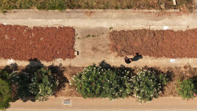 Sahil yolu harman yerine döndü
