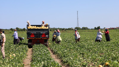 Samsun'da üretilip 2 liraya satılıyor
