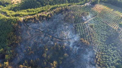 Osmaniye’deki orman yangını kontrol altında