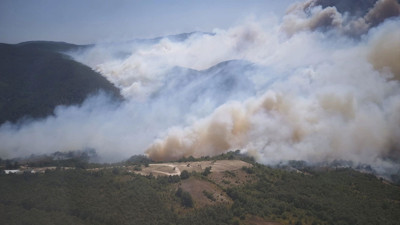 Kocaeli'de orman yangını çıktı!