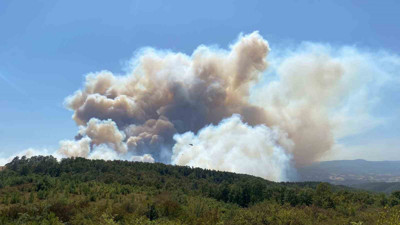 Kocaeli'de orman yangını
