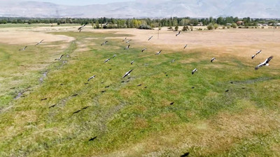 Afrika'dan yola çıktı! Erzincan'da mola verdi