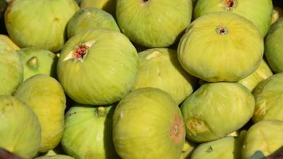 İzmir'de üretilip yurt dışına gönderiliyor! Aydın’dan sonra ikinci sırada