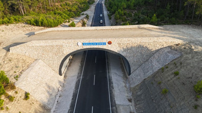 Antalya'daki bu köprü ile yaban hayatı korunuyor!