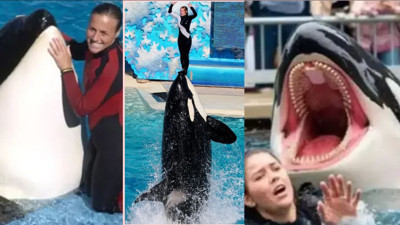 Jessica Radcliffe öldü mü, balina yuttu mu? Sosyal medyada yayılan iddiaların aslı