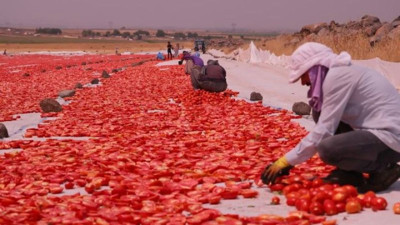 Şanlıurfa Siverek'te üretilerek dünyaya ihraç ediliyor!