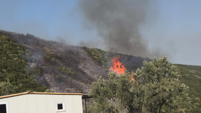 Bursa'da orman yangını! Havadan ve karadan müdahale ediliyor