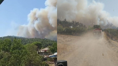 Çanakkale'de orman yangını! Müdahale sürüyor