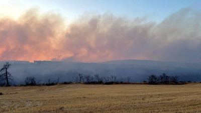 Gelibolu orman yangınında son durum