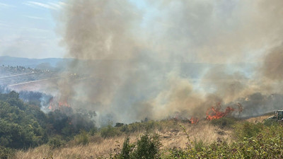 Kocaeli'de yangın paniği!