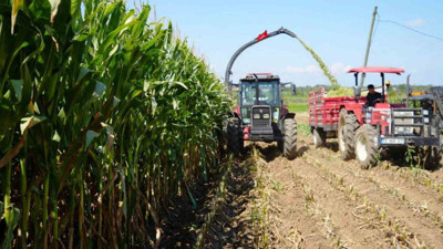 Türkiye’nin hayvancılık yemleri bu ilden karşılanıyor