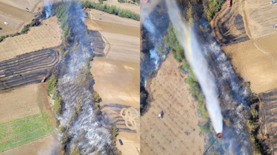 Adana'da çıkan orman yangını kontrol altında