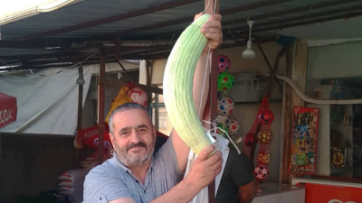 Elazığ'da yetişti! Boyutunu gören herkes şaşkınlığa uğradı
