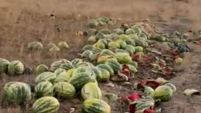 Tekirdağ’da karpuzlar yola saçıldı