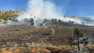 Adana'daki orman yangını kontrol altına alındı