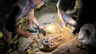 Gürcistan'da bulundu! Tam 1,8 milyon yıllık