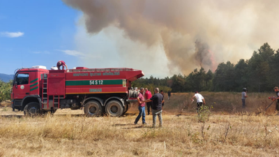 Sakarya Akyazı'da çıkan orman yangını kontrol altına alındı