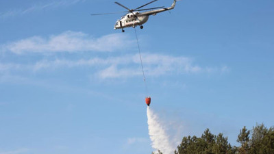 Sakarya'daki orman yangını kontrol altına alındı
