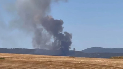 Bursa'da orman yangını çıktı!