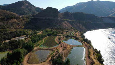 Elazığ'da üretiliyor! Sayısı milyonları buldu! Yurt dışına da gönderilecek