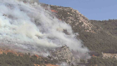 Hatay'da orman yangını! Havadan ve karadan müdahale ediliyor
