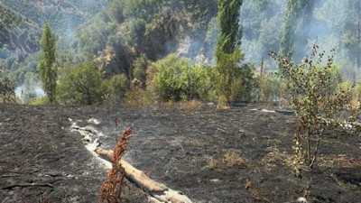 Bitlis Yelkıran Köylülerinden yangına karşı yardım çağrısı: O anlar kamerada!