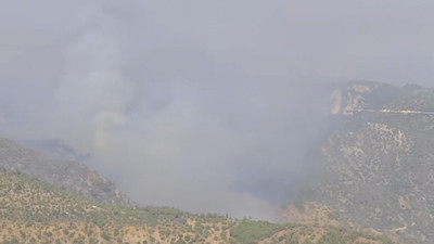 Orman yangını Aydın'a sıçradı! Denizli'nin Buldan ilçesinde başlamıştı