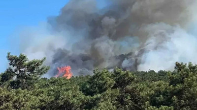 Ataşehir’de orman yangını büyümeden söndürüldü