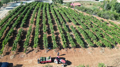 Isparta'da devlet desteğiyle kuruldu! Üretilen ürünün fiyatı 130 lira