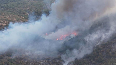 Karabük'teki yangınla ilgili 5 kişi gözaltında