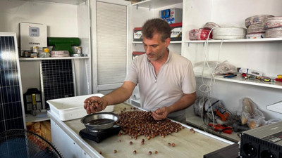 Fındık fiyatları yükseldi!