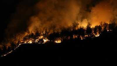 Orman yangınlarıyla ilgili açıklama geldi! Kastamonu Valiliği duyurdu