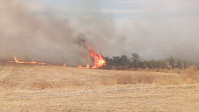 Edirne'nin Keşan ilçesindeki yangın söndürüldü