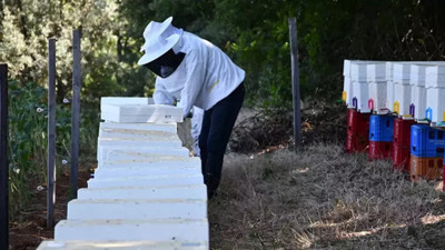 Bilecik'te devlet desteğiyle kuruldu! Bilecik, Eskişehir ve Bursa'ya gönderiliyor