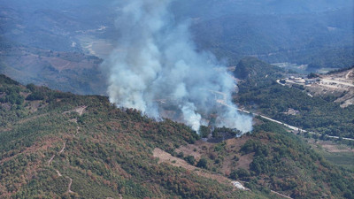 Düzce'de çıkan orman yangını söndürüldü