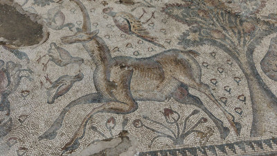 Elazığ'da bulunmuştu! Bin 700 yıllık mozaiğin sırrı çözüldü