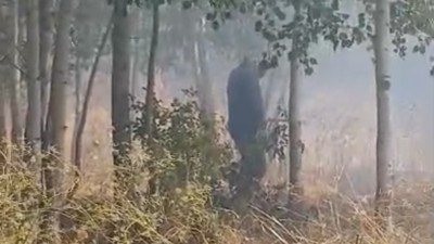 Türkiye-İran sınırında başladı! Vatandaşlar alarma geçti...