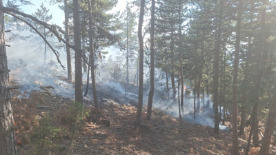 Manisa'daki orman yangını kontrol altına alındı