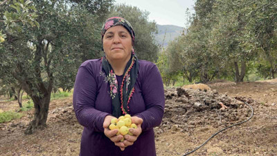 Hatay'da üretilen şifa deposu! Kilosu 200 TL'ye satılıyor