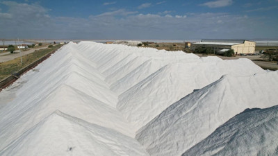 5 kıtada 50’den fazla ülkeye gönderiliyor! İşte Anadolu’nun beyaz hazinesi